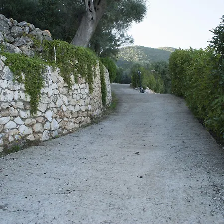 Arethousa * سيفوتا