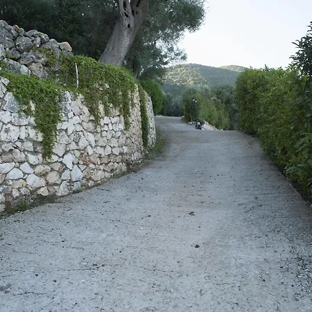 Arethousa *
